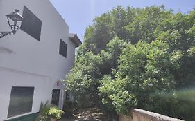 La Casa Del Almacigo